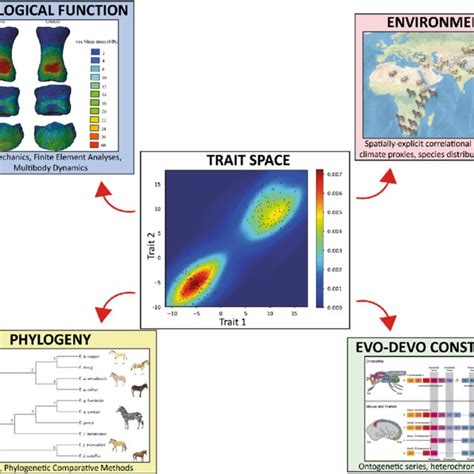Evolutionary Landscape 的图像结果