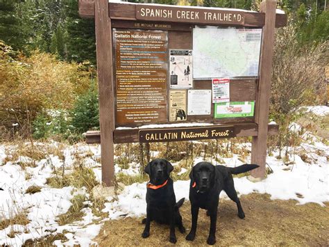 On the Trail: South Fork Spanish Creek Trail | Explore Big Sky