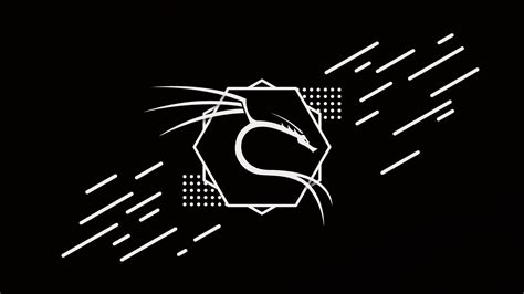 Kali Linux Achtergrond Kali Linux Wallpapers Wallpaper Cave