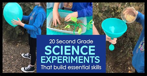 Science Experiments for 2nd Grade 的图像结果