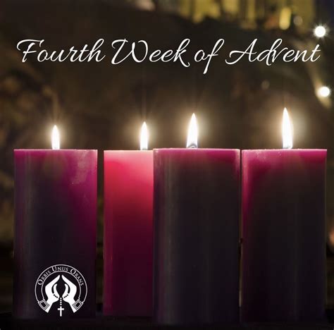 Advent Week 4 的图像结果