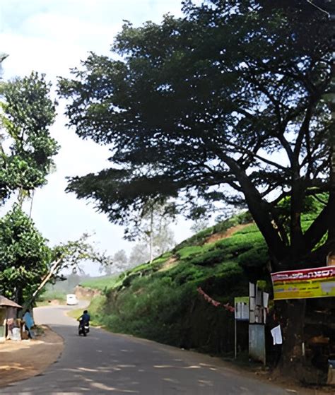 Meppadi Wayanad - Hi Wayanad Tourist Places