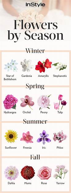 Wedding Flowers By Season With Pictures by In Season Wedding Flowers Affordable Seasonal Wedding Wedding Flowers By Season With Pictures