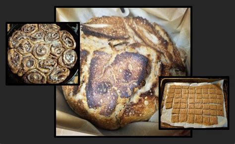 NEW! Sourdough - EASY Recipes for Savory, Sweet, & Discard Bakes!, 4561 ...