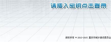 重庆模板建站网址 的图像结果