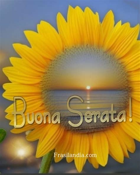 Buona serata!