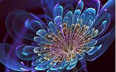 3d Hd Wallpapers Flowers by 3d Flower High Resolution Wallpapers Free 3d Hd Wallpapers Flowers
