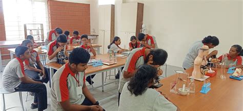 Meena Sankar Vidyalaya