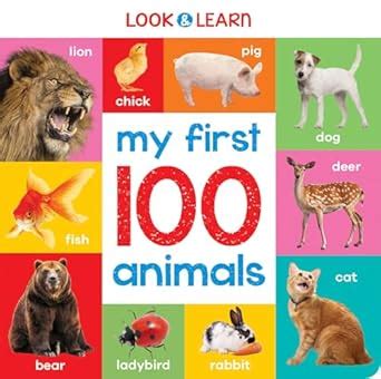 My First 100 Animals : Two Windmills Limited: Amazon.in: Books