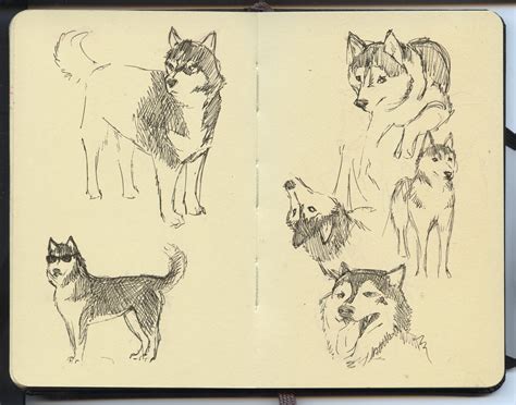 Kelley McMorris illustration: The Dog Doodler