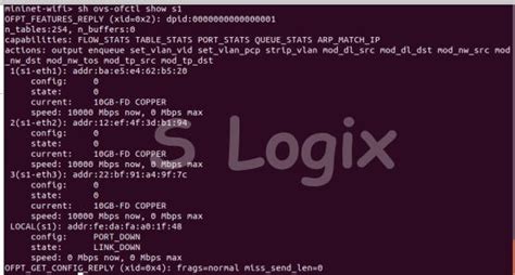 How to Manually Manage Flows in Mininet? | S-Logix