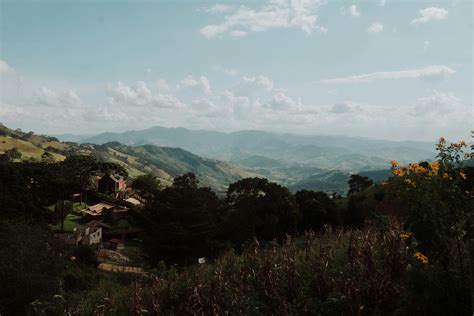 Grass Field Photography 的图像结果