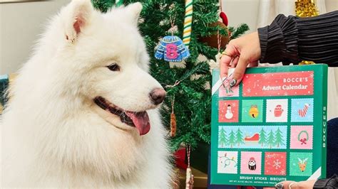 Chewy holiday dog Bocce's Bakery 12-Day Advent Calendar