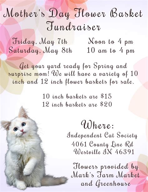 Independent Cat Society