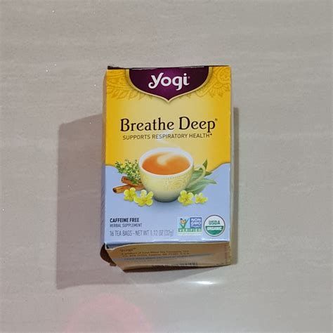 Jual Teh Yogi Tea Breathe Deep Supports Respiratory Health 16 x 2 Gram ...