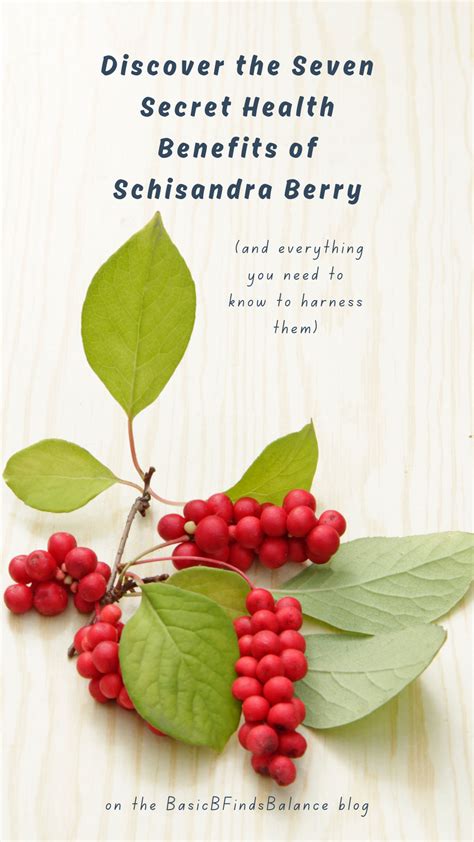Discover and Harness the Seven Health Benefits of Schisandra Berries | Schisandra berries ...