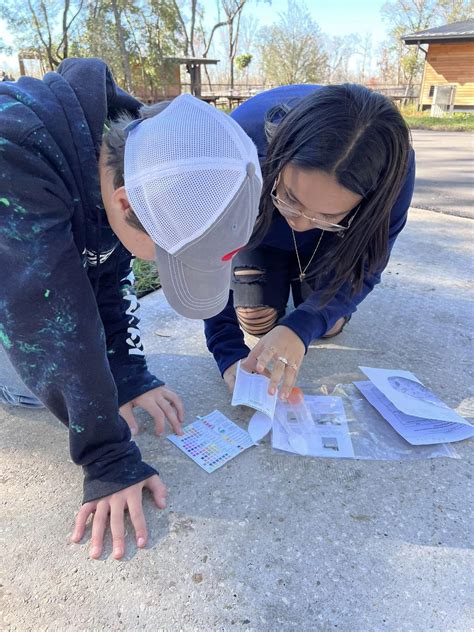 Secondary — Cypress Junction Montessori