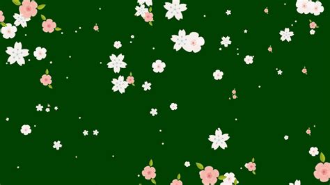 Image result for Free Spring Animation
