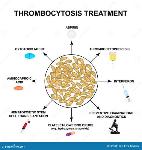 Thrombocytosis Treatment. an Increase in Platelets in the Blood. Infographics Stock Vector ...