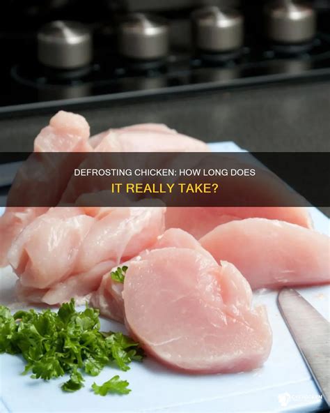Defrosting Chicken: How Long Does It Really Take? | CyChicken