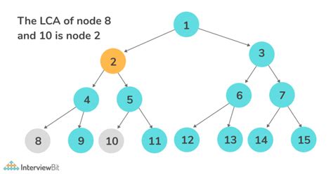 Image result for Python NetworkX Lowest Common Ancestor