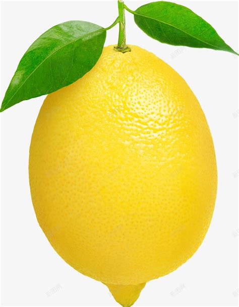 创意水果柠檬装饰画设计图__图片素材_其他_设计图库_昵图网nipic.com