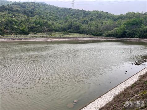 春旱季节，济南锦绣川水库还有多少水？_腾讯新闻