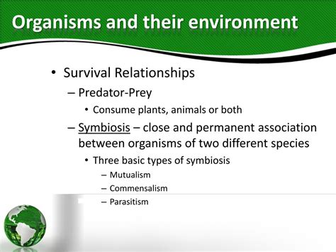 Ecology 的图像结果