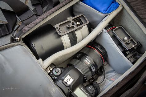 Canon Camera Back View 的图像结果