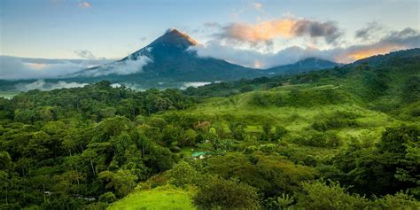Costa Rican Rainforest