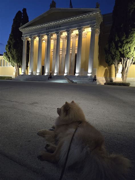 Happy Friday from a cooler morning here in Athens. When we say cooler ...