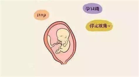 都说胎心出现晚后果很严重，越早出现胎心越不容易胎停 - 姐妹邦