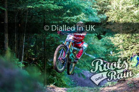 Emyr DAVIES 13 - Roots & Rain