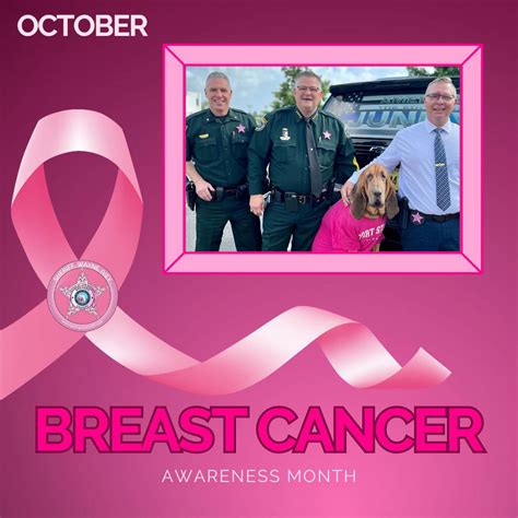 Brevard County Sheriff's Office to Wear Pink Ribbons, Badges to Support ...