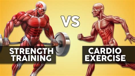 Exercise Styles 的图像结果