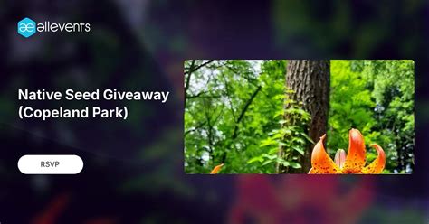 Native Seed Giveaway (Copeland Park), Trinity United Church, 1099 ...