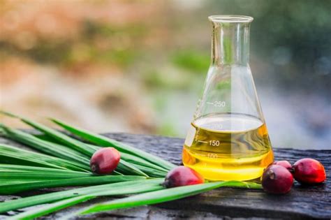 Biodiesel Oil Manufacturer, Supplier from Navi Mumbai