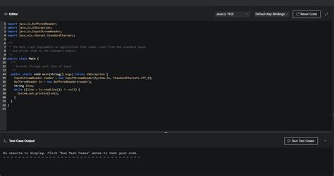 Taking Integer Input in Java Seperated by Two Space 的图像结果