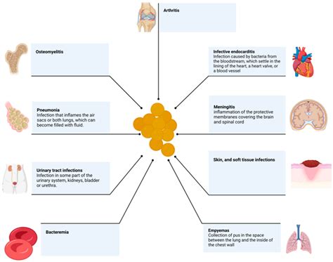 Antimicrobial Treatment of Staphylococcus aureus Biofilms