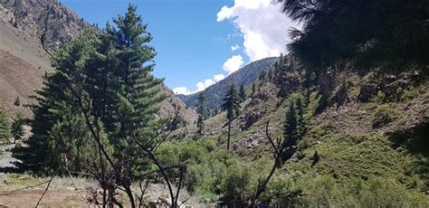 Hunza Explorers - All You Need to Know BEFORE You Go