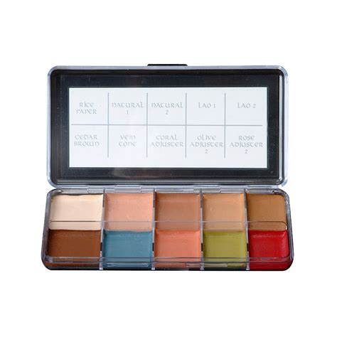 Buy Original PPI Skin Illustrator Fleshtone Palete from USA in India ...