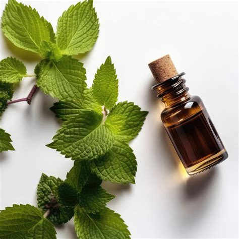 Post Henna Stain Boost Oil