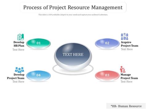 Project Resource Management 的图像结果