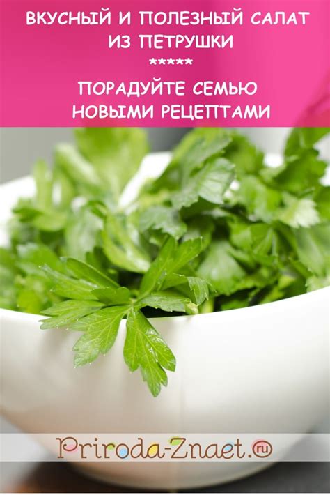 Салат из петрушки: сырный, томатный, грибной и мясной | Петрушка ...