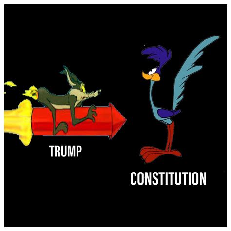 What a maroon : r/PoliticalMemes