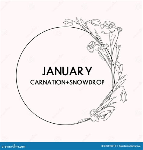 January Birth Month Flower Wreath, Carnation and Snowdrop Flower Border ...