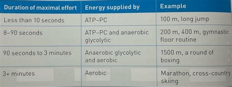 Image result for Understanding Energy Systems Exercise