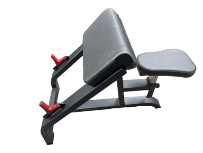 PREACHER CURL BENCH BODYLINE BEFIT