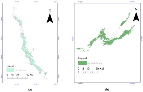 Spatial Patterns of Disaster Risk Assessment via Remote Sensing