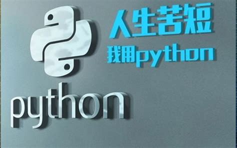 Python爬虫实战：想要自己IP不被封，就要学会这个技术，代理IP_哔哩哔哩_bilibili